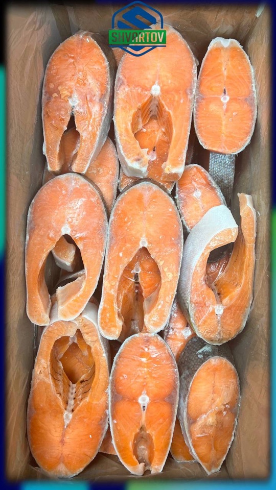 image-15-03-26-03-10-3