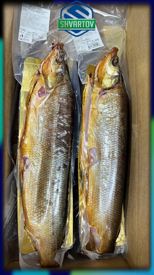 image-03-03-26-07-01-15