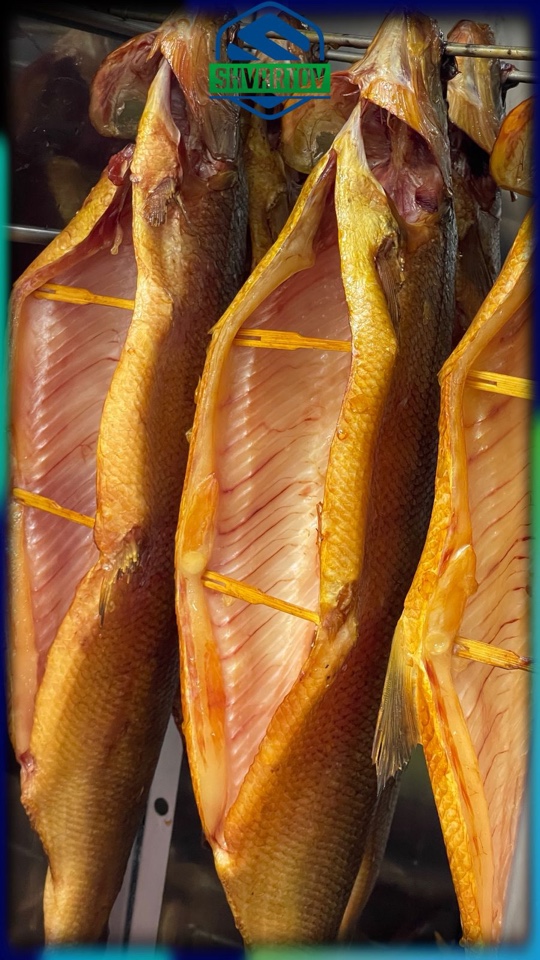 image-03-03-26-07-01-5