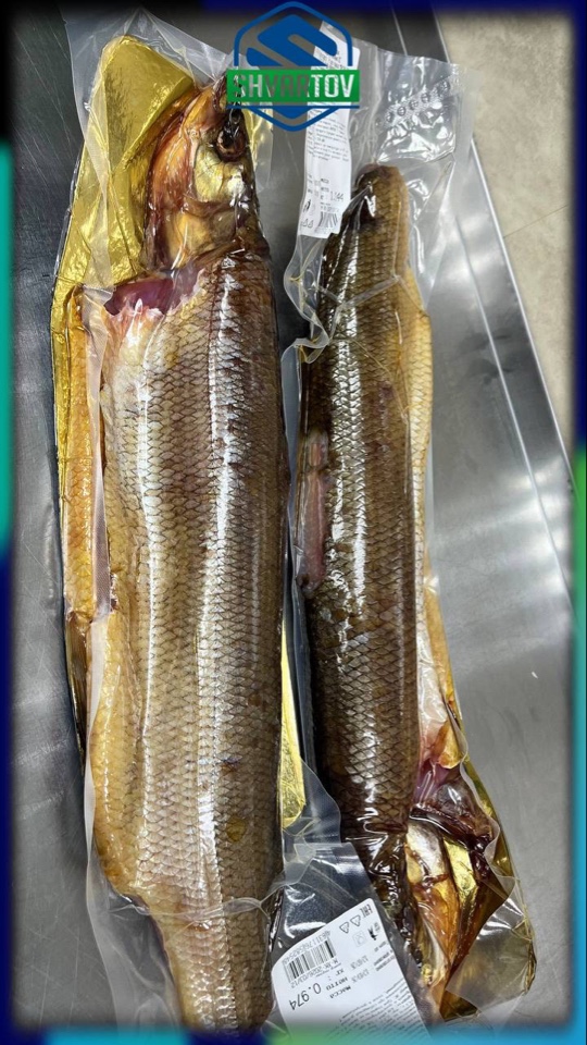 image-14-03-26-06-38-34