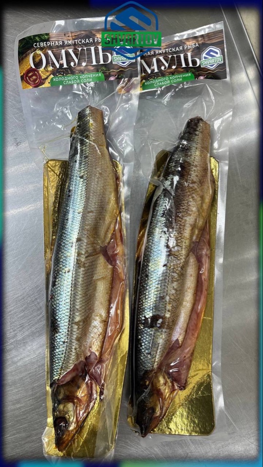 image-14-03-26-06-38-49