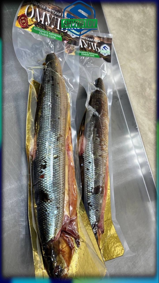 image-14-03-26-06-38-5