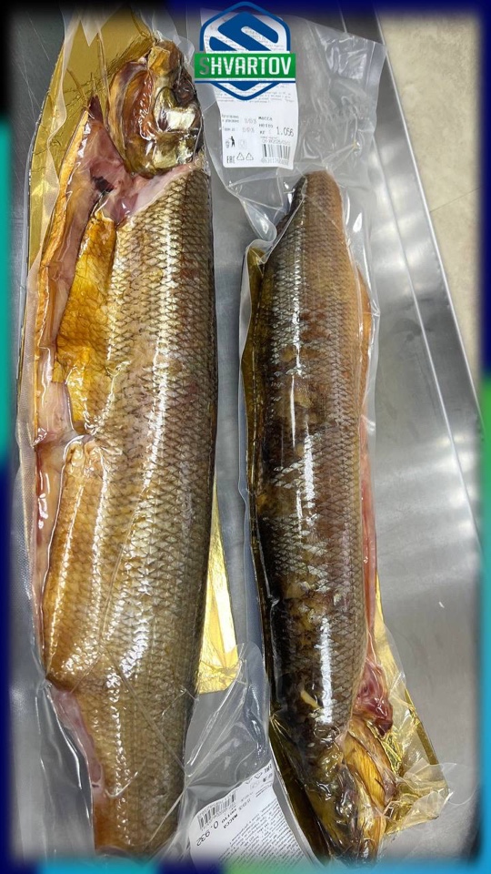 image-14-03-26-06-38-51