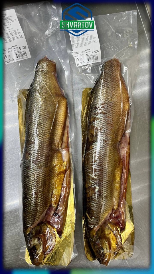 image-14-03-26-06-38-7