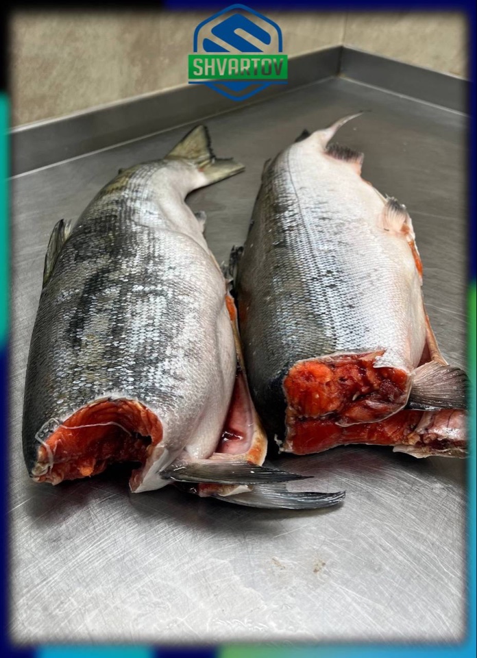 image-18-03-26-04-07-14