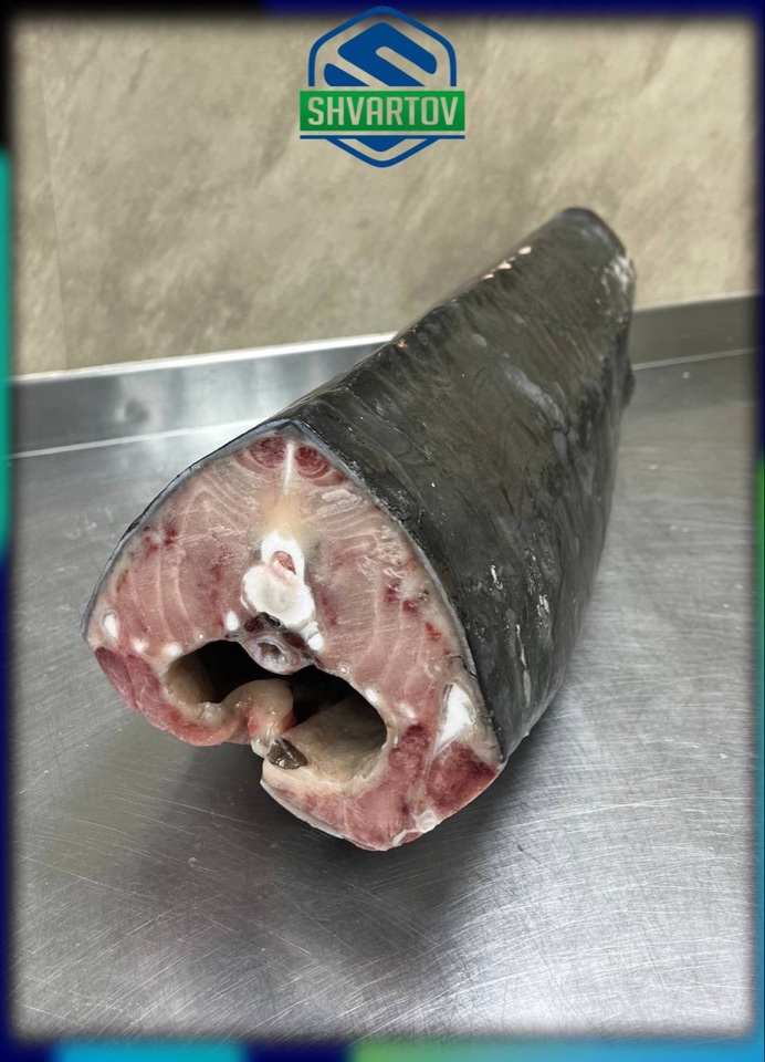 image-02-04-26-03-38-16