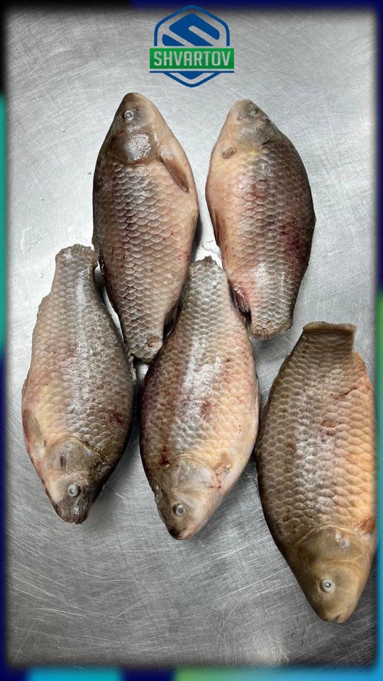 image-02-04-26-03-38-17