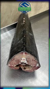 Осётр тушка мороженая глазированная. р/р навеска 4,5-6 кг. АСТРАХАНЬ.