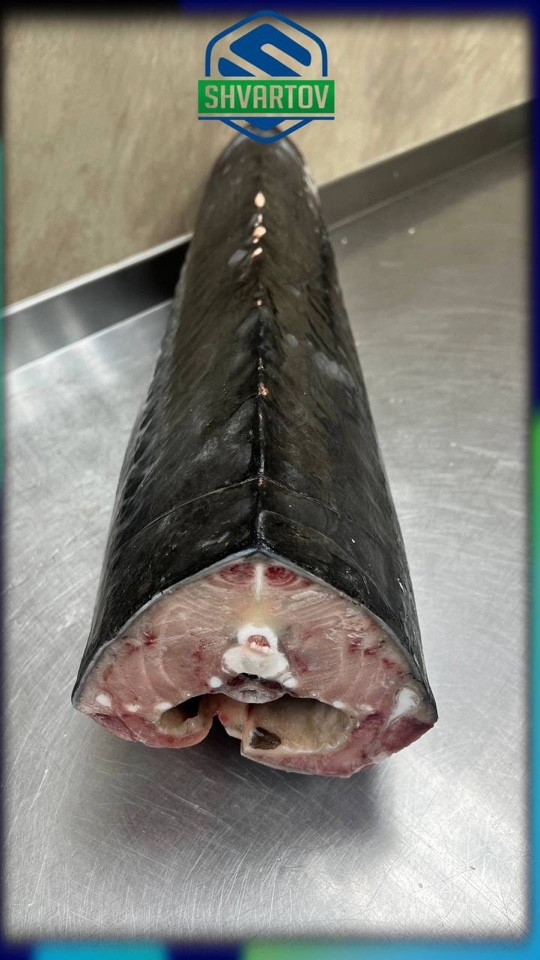 image-02-04-26-03-38-19