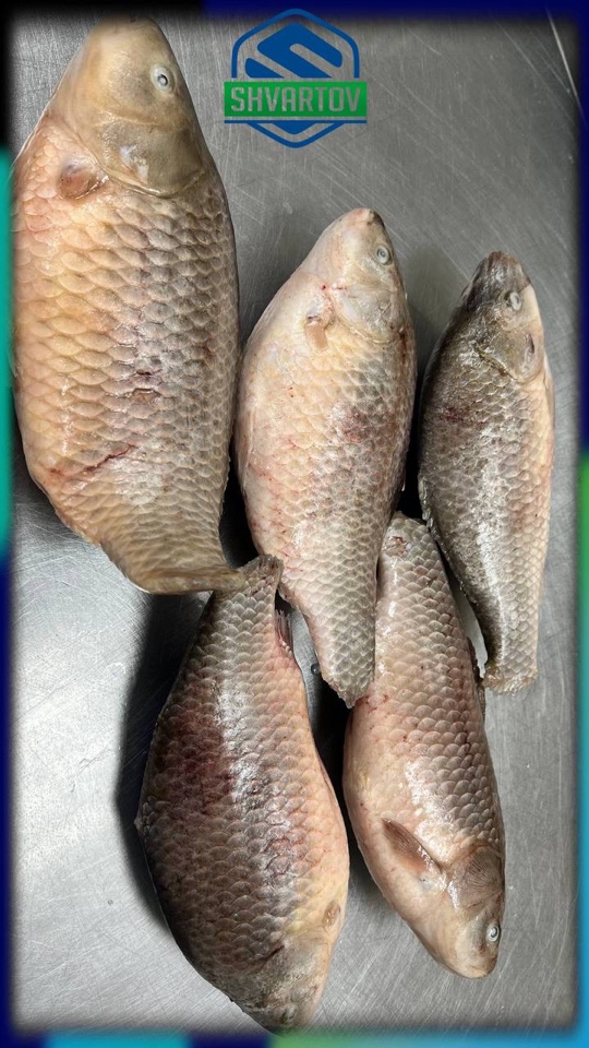 image-02-04-26-03-38-4