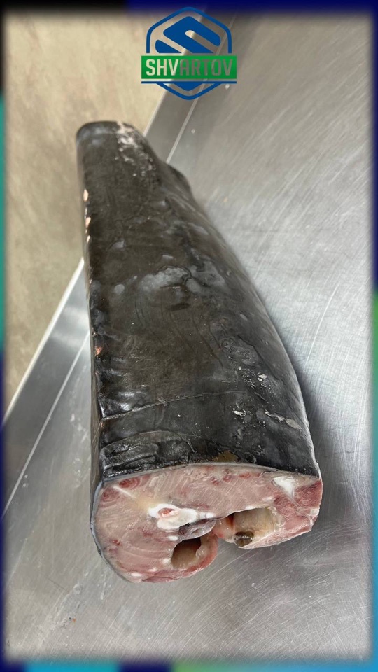 image-02-04-26-03-38-7