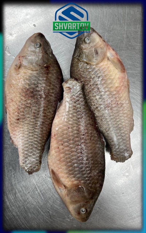 image-02-04-26-03-38