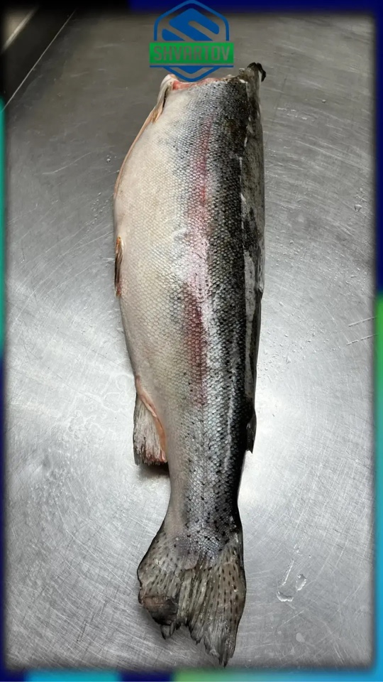 image-09-04-26-12-07-1_1