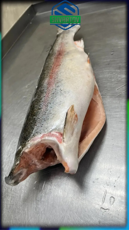 image-09-04-26-12-07-3