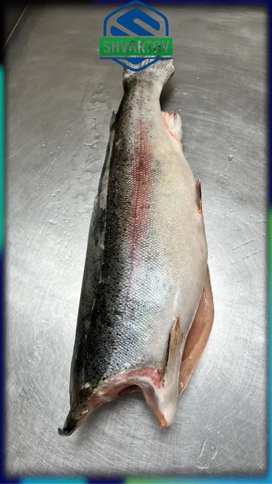 image-09-04-26-12-07_1