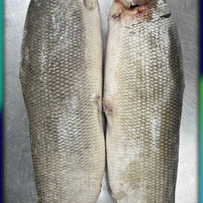 image-02-04-26-03-38-18