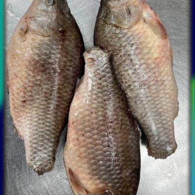 image-02-04-26-03-38