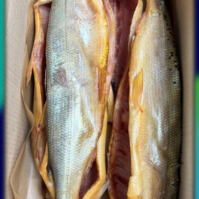 image-03-03-26-07-01-11