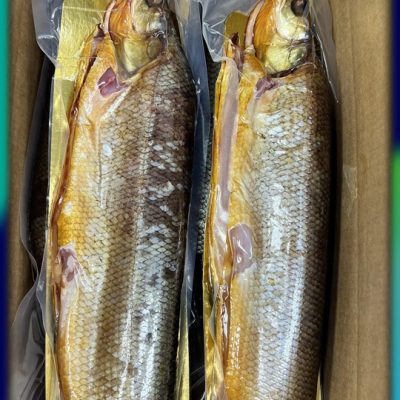 image-03-03-26-07-01-15