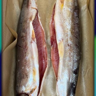 image-09-03-26-10-22-19