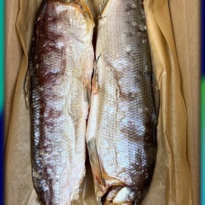 image-09-03-26-10-22-45