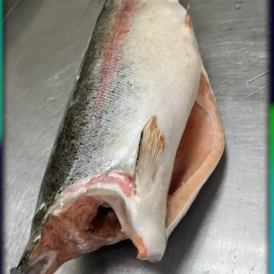 image-09-04-26-12-07-3