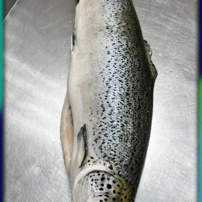 image-09-04-26-12-07-4