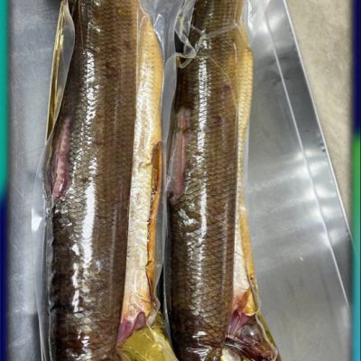 image-14-03-26-06-37-7