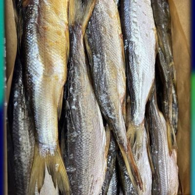 image-14-03-26-06-37-9