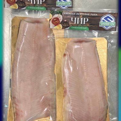 image-14-03-26-06-38-15