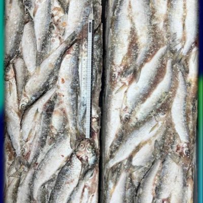 image-14-03-26-06-38-52