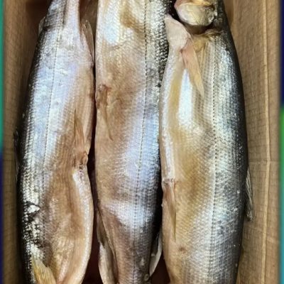 image-16-04-26-05-46-4