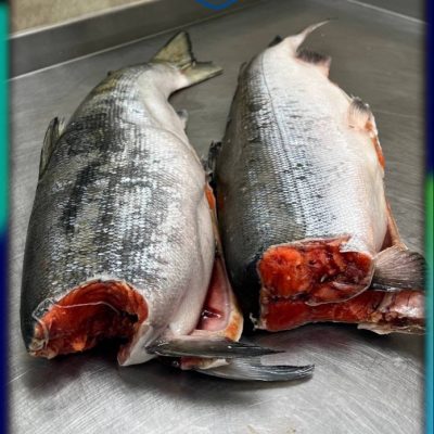 image-18-03-26-04-07-14