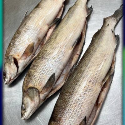 image-18-03-26-04-07-17