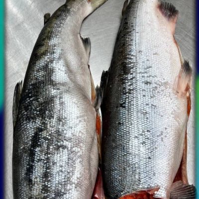 image-18-03-26-04-07-18