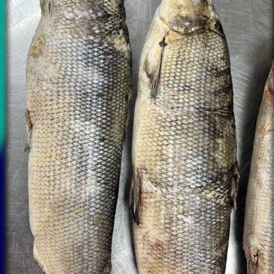 image-18-03-26-04-07-9