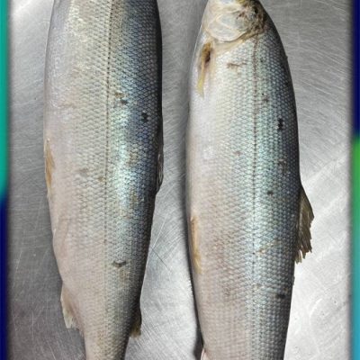 image-18-03-26-04-07