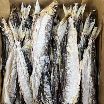 image-20-03-26-06-14-2 (1)