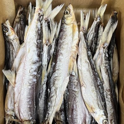 image-20-03-26-06-14-3 (1)