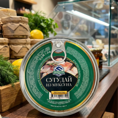 image-28-02-26-05-08-2